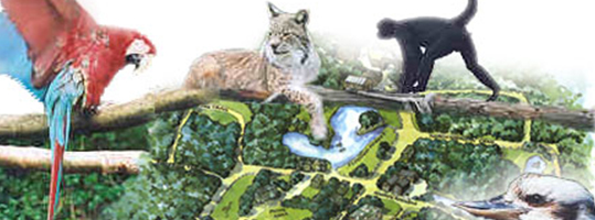 Curraghs Wildlife Park Isle of Man